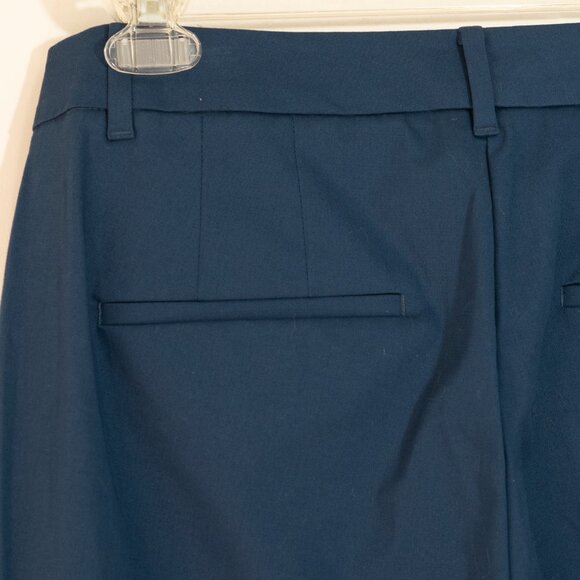 Ann Taylor Cotton Crop Pant Curvy Fit Blue Minimal Retro Office Ankle Trouser - Picture 7 of 9